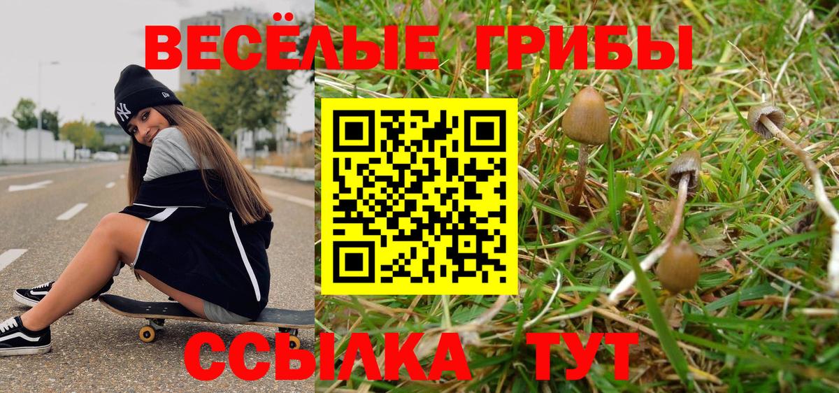 Псилоцибиновые грибы GOLDEN TEACHER  наркотики  Узловая  Вход с VPN  Псилоцибиновые грибы Cubensis 